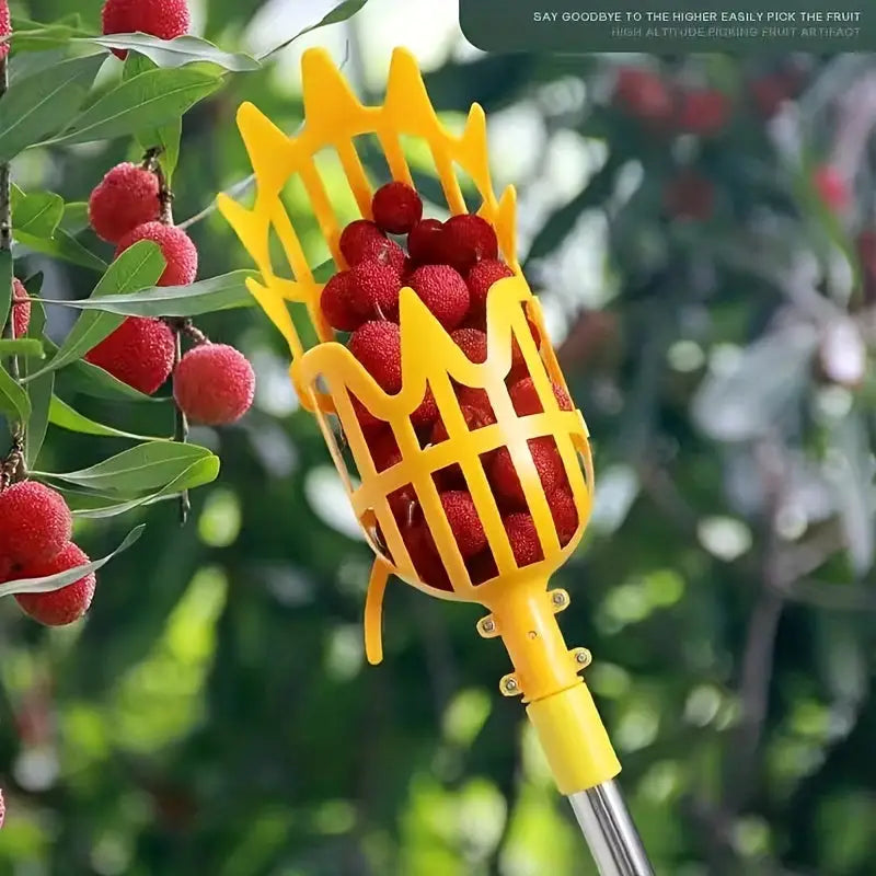Cesto Colhedor de Frutas Cadence